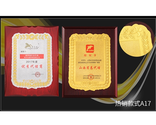 獎(jiǎng)牌