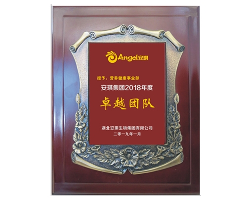 獎(jiǎng)牌